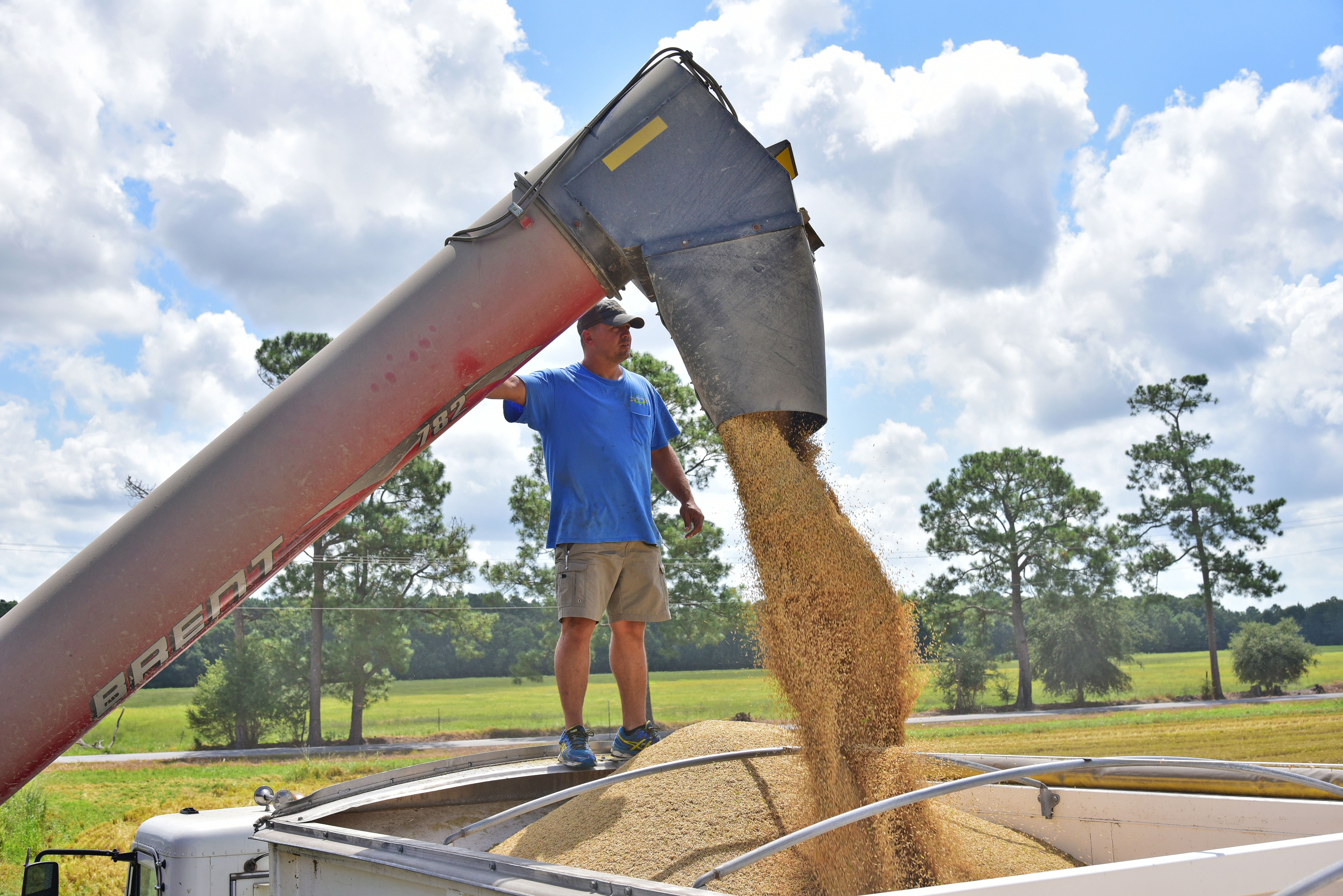 Farmers begin planting amid uncertain prices 